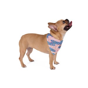 Pet Bandana - Personalizable Floral Japanese Cherry Blossom Design for Dogs and Cats, Cute Accessories, Spring Fashion, Outdoor Adventure,