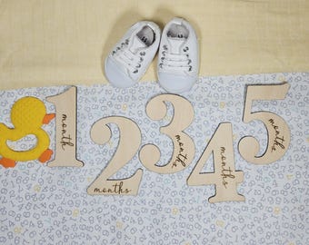 Wooden Number Baby Milestone Markers