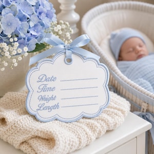 Puede incluir: Una placa blanca con forma de nube con bordes cosidos en azul claro y un lazo de satén a juego. La placa presenta texto bordado que dice Date, Time, Weight y Length, cada uno seguido de una línea cosida para registrar los detalles.