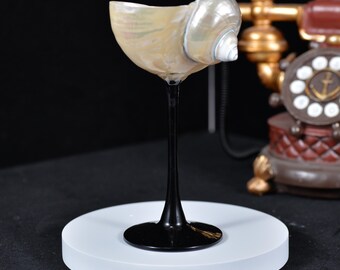 Seashell Martini Glasses: Coastal Chic Conch Shell Wine Glass