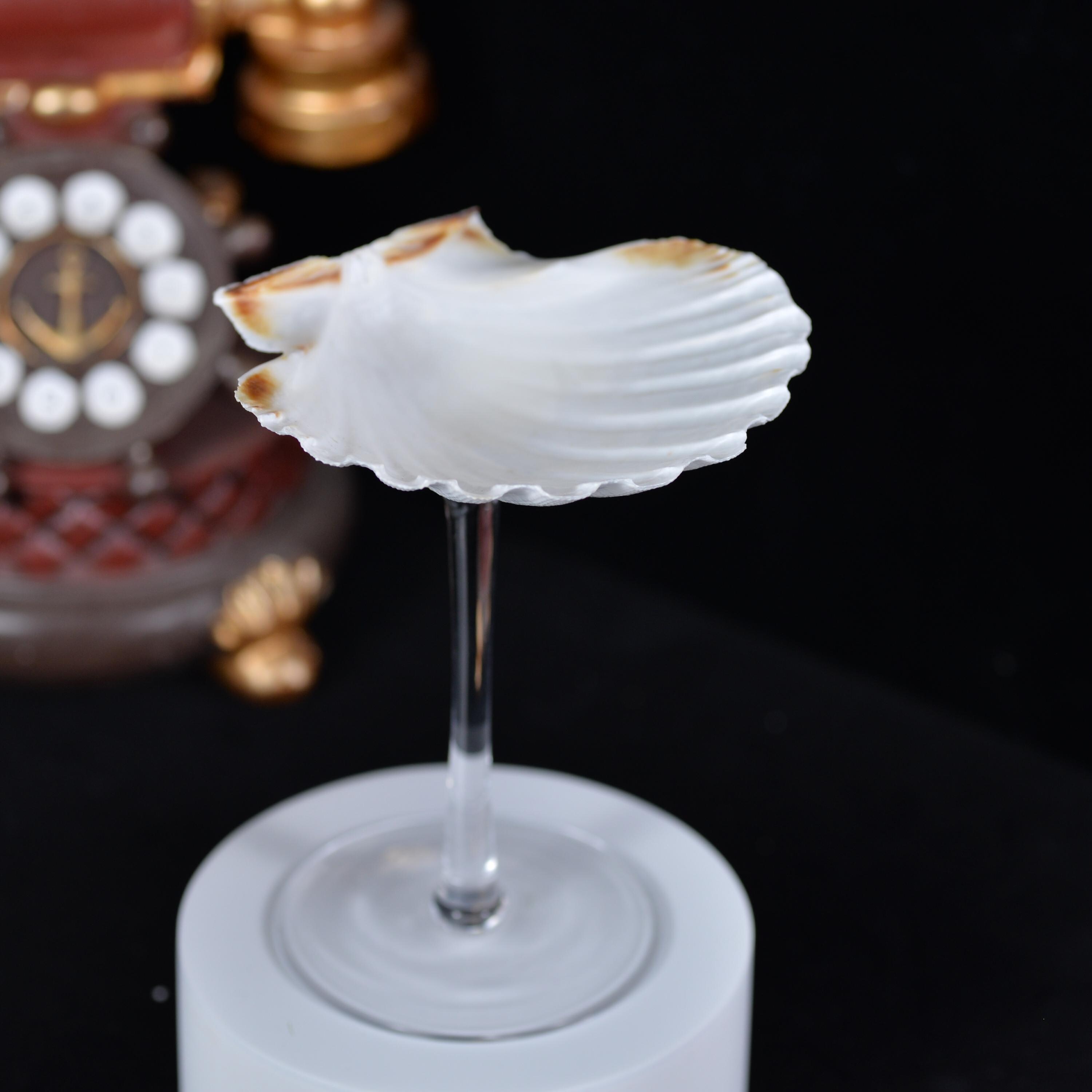 Calice da vino in conchiglia naturale, bicchieri da cocktail per matrimoni, bicchieri da Martini, regalo di Natale, decorazione, gioielli, piatto, ornamenti  15