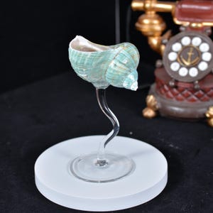Handcrafted Seashell Wine Glasses: Coastal Beach Wedding Decor