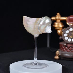 Op de afbeelding: Een uniek wijnglas met een schelpkom en een transparante steel. De iriserende schelp heeft een parelmoerglans met blauwe accenten. Het glas wordt gepresenteerd op een wit oppervlak, met een vintage telefoon op de achtergrond.