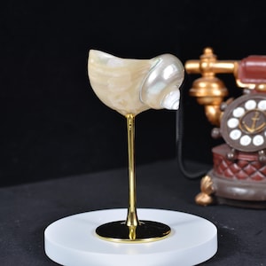 Seashell Cocktail Glass – Conch Shell Goblet with Gold Stem, Handmade Coastal Wine Cup for Beach Bar & Ocean Lover Gift