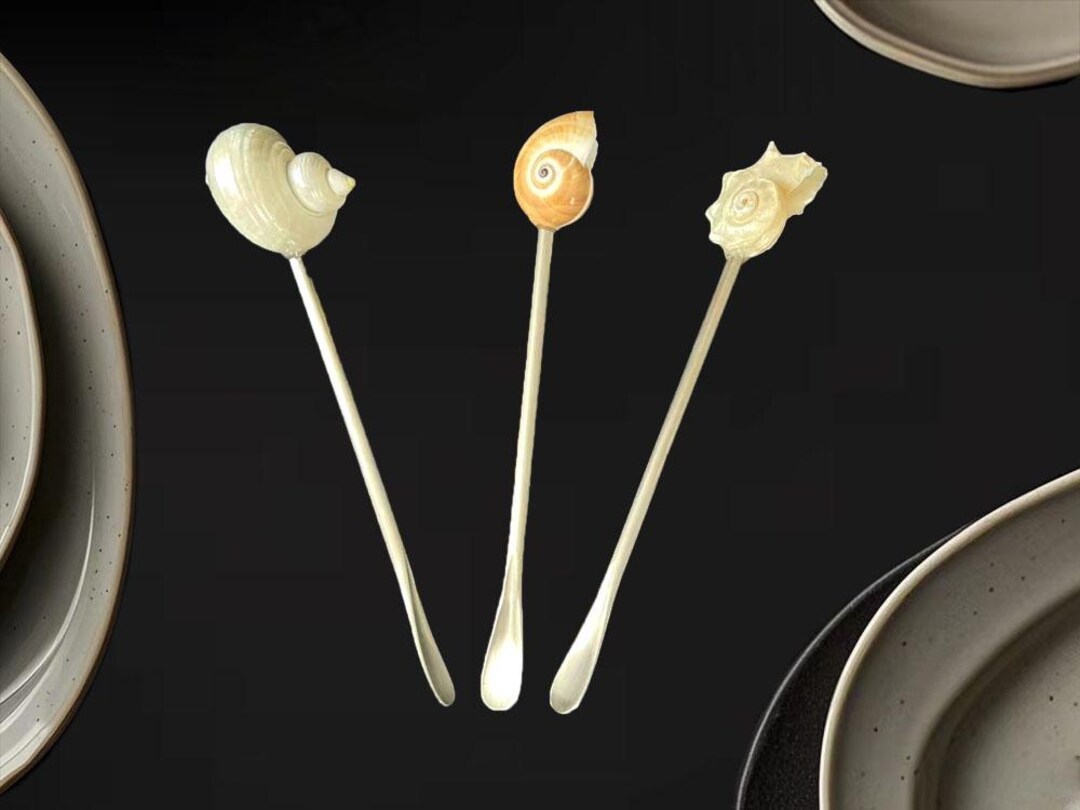 Japanese Shell Spoon Conch Shell Coffee Stirring Spoon, Personalized Beverage Spoon - Etsy