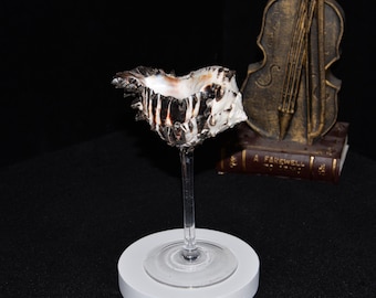 Seashell Champagne Glasses: Beach Wedding Cocktail Goblets