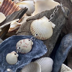 Calico Scallop Shell Keychain – Handmade Coastal Beach Key Ring with Natural Seashells