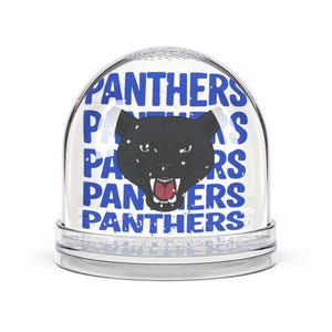 Panther Snow Globe, Panther Decor, Team Spirit Snow Globe, Sports Fan Gift, Collectible Snow Globe