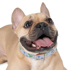 Chic Floral Dog Collar, Stylish Pet Accessory, Adjustable Dog Leash, Spring Pet Fashion, Cute Dog Gift, Durable Collar for Dogs