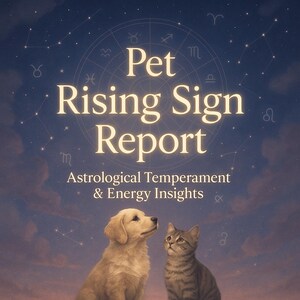 Mapa do Signo Ascendente para Cães ou Gatos – Mapa Astrológico Personalizado com Traços Ascendentes e Personalidade – Presente Espiritual do Zodíaco para Amantes de Animais de Estimação