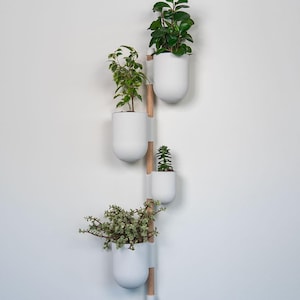 Könnte beinhalten: Ein vertikaler Wandhalter für Pflanzen mit vier weißen, gerippten, halbkreisförmigen Töpfen, die jeweils eine andere grüne Pflanze enthalten. Die Töpfe sind mit weißen Halterungen an einer Holzstange befestigt, was eine moderne, minimalistische Präsentation ergibt.