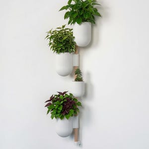 Op de afbeelding: Een verticaal wandplantensysteem met een lichtgekleurde houten stang die vier witte, geribbelde, ronde potten ondersteunt. Elke pot bevat een andere plant in groen- of paarstinten, gerangschikt in een kolom tegen een witte muur.