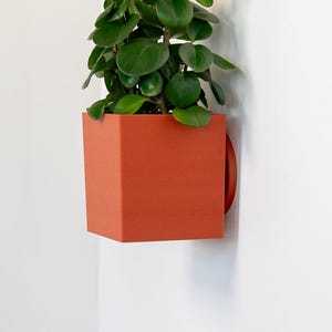 Peut inclure: Un cache-pot carré mural de couleur orange terre cuite mat contenant une plante verte aux feuilles arrondies. Le cache-pot présente un design géométrique épuré avec une face avant et des côtés plats, fixé sur une surface verticale.