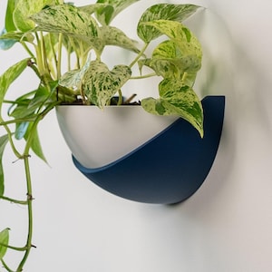 Può includere: Un vaso da parete dal design bicolore, caratterizzato da un guscio esterno blu navy opaco e una ciotola interna liscia color grigio chiaro. Una pianta di pothos ricadente, con foglie a forma di cuore variegate in verde e bianco, cresce dal vaso.