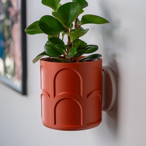 Könnte beinhalten: Ein wandmontierter Pflanzentopf in Terrakotta-Farbe mit einem sich wiederholenden Bogenmuster. Der Topf enthält eine kleine grüne Pflanze mit großen, abgerundeten Blättern. Der Topf ist mit einem weißen, kreisförmigen Montageteil an der Wand befestigt. Wohndekoration.