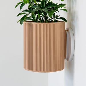 Pode incluir: Um vaso cilíndrico de parede na cor pêssego suave com uma textura vertical canelada. O vaso possui uma placa de montagem circular branca fixada na parede e contém uma planta Schefflera verde com várias folhas.