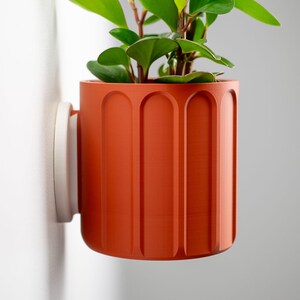 Könnte beinhalten: Ein orange-roter, wandmontierter Pflanzentopf mit einer weißen Befestigungsscheibe. Der zylindrische Topf hat vertikale, bogenförmige Rillen und enthält eine kleine grüne Pflanze mit runden Blättern, die eine moderne, minimalistische Ästhetik bietet.