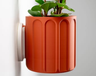 Könnte beinhalten: Ein orange-roter, wandmontierter Pflanzentopf mit einer weißen Befestigungsscheibe. Der zylindrische Topf hat vertikale, bogenförmige Rillen und enthält eine kleine grüne Pflanze mit runden Blättern, die eine moderne, minimalistische Ästhetik bietet.
