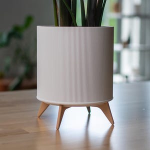Peut inclure: Un pot de fleurs cylindrique blanc avec des détails côtelés verticaux. Le pot repose sur trois pieds en bois. Des tiges de plantes vert foncé émergent du haut du pot, créant une esthétique moderne et minimaliste.