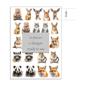Könnte beinhalten: Ein Bogen mit Tieraufklebern mit Aquarellillustrationen von Waldtieren wie Kaninchen, Füchsen und Waschbären. Der Bogen enthält 22 Teile mit 11 Designs. Die Höhe des Bogens beträgt ca. 5 cm.