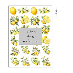 Può includere: Un foglio di adesivi a tema limone con 24 pezzi e 12 disegni. Gli adesivi presentano illustrazioni di limoni interi e a fette, rami di limone e fiori. Il foglio misura 5 cm di altezza e include il testo "ready to use".