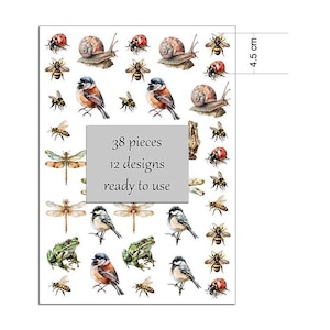 Puede incluir: Una hoja de pegatinas decorativas con diseños de temática natural. Las pegatinas incluyen ilustraciones de pájaros, abejas, caracoles, libélulas y mariquitas. La hoja mide 4,5 cm de alto e incluye el texto "38 piezas, 12 diseños, listo para usar."