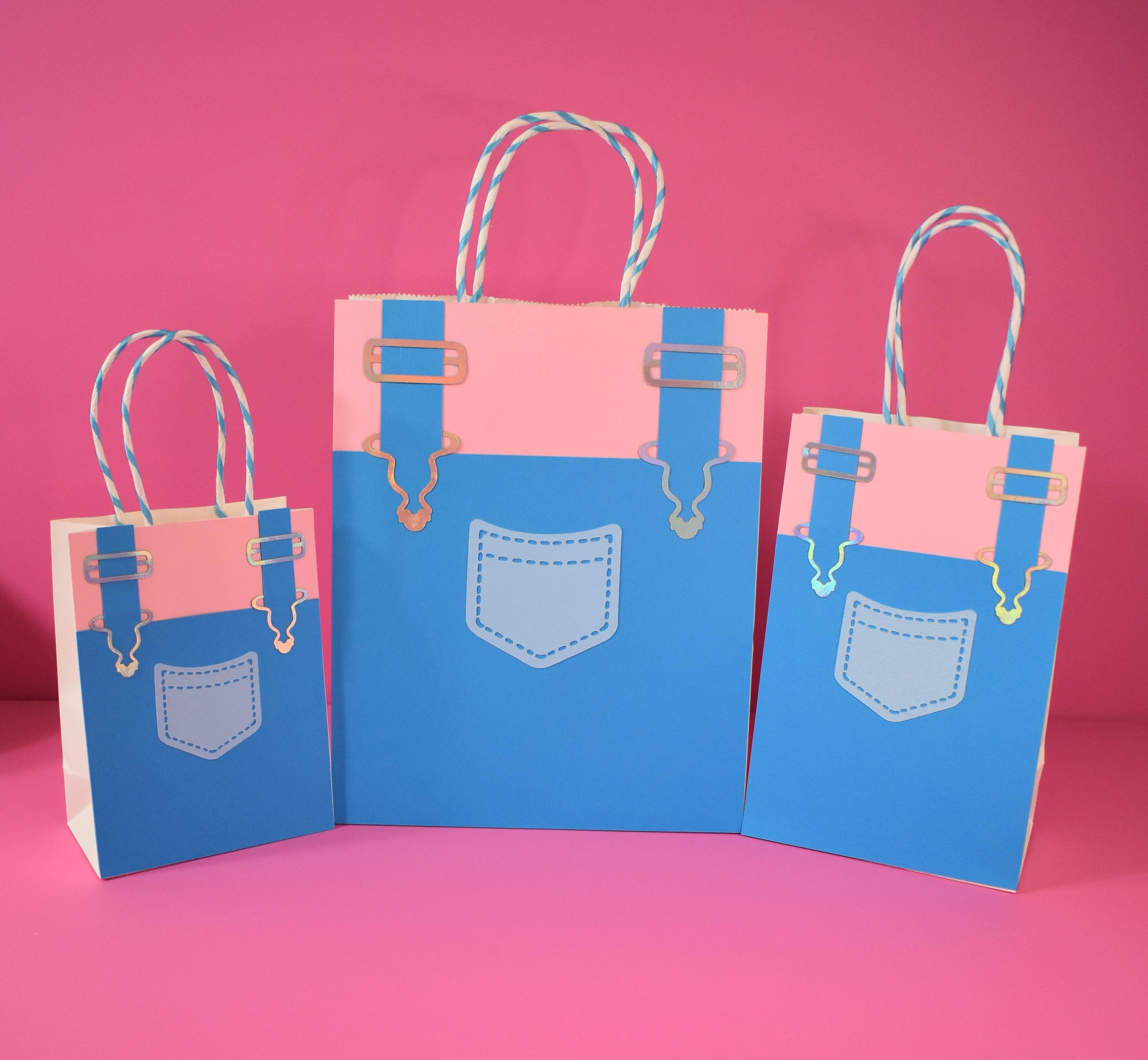 Ms. Rachel Inspired Overall Goodie Bags/ Ms. Rachel Favor Bags/ Ms 