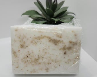 May include: A rectangular bar of white soap with visible brown speckled inclusions, wrapped in clear plastic film. Positioned directly behind the soap is a small, dark green artificial succulent plant with pointed, layered leaves.