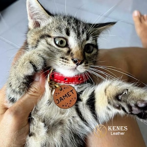 Custom Leather Cat Collar with Free ID Tag – Handmade Adjustable Buckle Collar for Cats | Personalized Pet Gift