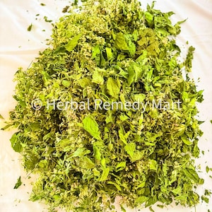 Mexican Dream Herb Calea Zacatechichi 100% Pure Wild Harvest Lucid Dreaming Tea Dream Herb Tea
