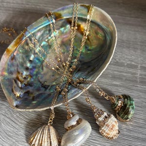 bohemian shell pendant necklace