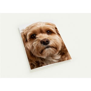 May include: A rectangular greeting card featuring a high-resolution portrait of a golden-brown dog with long, wavy fur, dark expressive eyes, and a dark nose. The dog is looking directly forward, filling the frame of the card with its face.