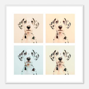 Dalmatian Wall Art - Vintage Filter Print - Framed, Canvas or Acrylic Print