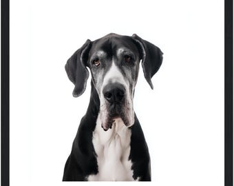 Great Dane Portrait – Dog Art Print, Framed or Canvas