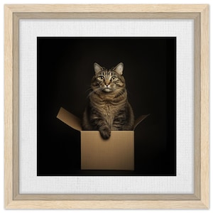 Tabby Cat in Box Wall Art - Whimsical Pet Photography Print - Cat Lover Gift - Modern Animal Portrait