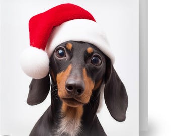 Lot De 5 Cartes De Noël – Motif Teckel Dans Un Chapeau De Père Noël – Motif Chien Festif Artistique Par Catherine Rowe – Fabriqué Au Royaume-Uni