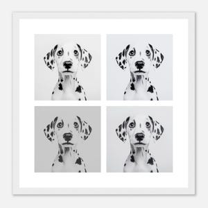 Dalmatian Wall Art - Black and White Print - Framed, Canvas or Acrylic Print