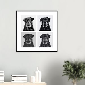 Rottweiler Wall Art - Black and White Print - Framed, Canvas or Acrylic Print