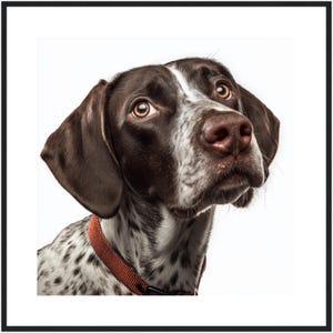 Pointer Wall Art Print - Choose from Framed, Canvas or Acrylic Portraits
