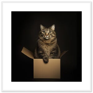 Tabby Cat in Box Wall Art - Fantazyjny wydruk fotografii zwierząt - Prezent dla miłośnika kotów - Nowoczesny portret zwierzęcia
