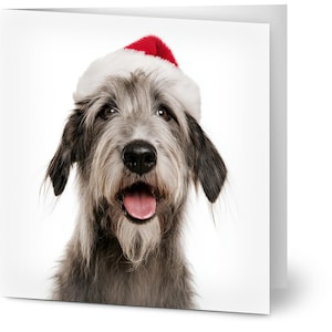May include: A greetings card featuring a close-up portrait of a shaggy, grey and white dog with a black nose and open mouth. The dog is wearing a bright red and white Santa hat. The background is plain white, highlighting the dog's facial features.
