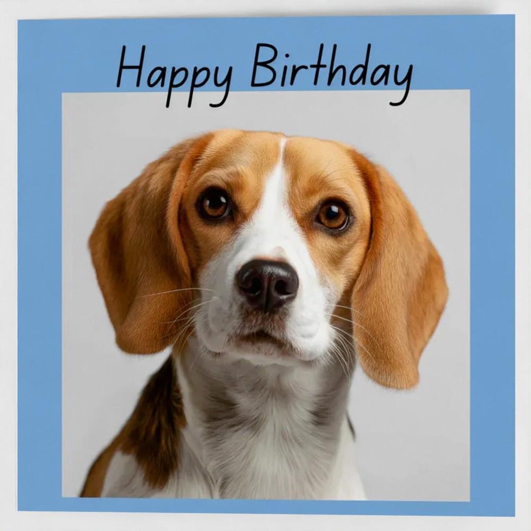 Beagle Birthday Card – Dog Greeting Card With Envelope - Etsy