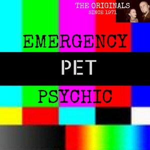 10 Q Pet Animal Psychic Reading. Animal Intuitive.