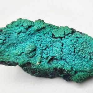 May include: A vibrant, textured mineral specimen with a striking teal and dark green color palette. The surface is covered in small, rounded formations, creating a unique, organic appearance. The mineral sits against a plain white background.