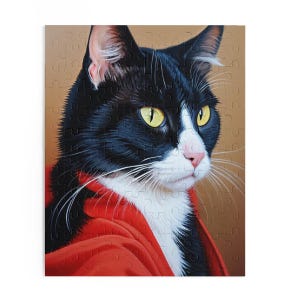 Regal Gaze – The Noble Black and White Cat