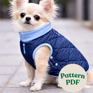 Könnte beinhalten: Ein kleiner, hellfarbener Hund, der eine gesteppte marineblaue Weste mit hellblauem Kragen und Besatz trägt. Die Weste hat einen Reißverschluss und Knöpfe. Der Hund sitzt auf einer Steinoberfläche. Das Bild enthält eine kreisförmige Grafik mit dem Text "Pattern PDF".