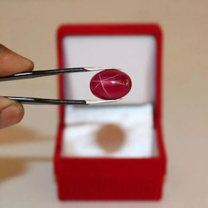 May include: A polished, oval-shaped, red gemstone with a star-like pattern held by tweezers. The gem is displayed in front of a red velvet jewelry box with a white interior.