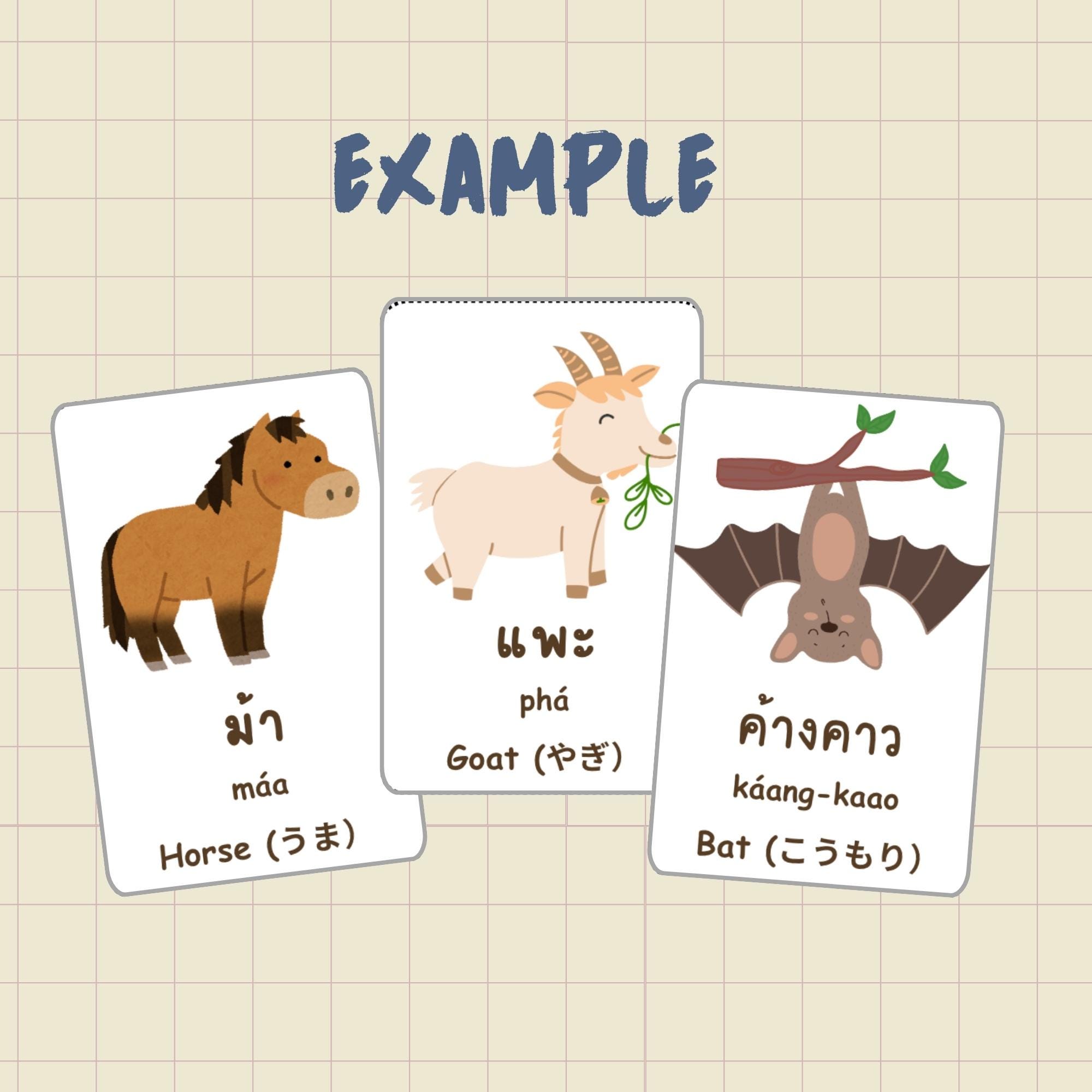 Trilingual Flashcards for Kids – Thai • English • Japanese | 24 ...