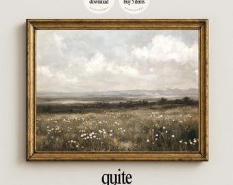 May include: A framed landscape print featuring a field of wildflowers under a cloudy sky. The artwork has a vintage aesthetic with a gold-colored frame. The text "quite prints" is at the bottom.