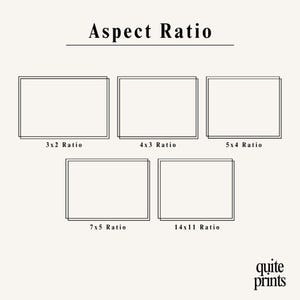 Aspect ratio guide for printable wall art | Different poster ratios for digital download artwork | Modern wall decor print sizes